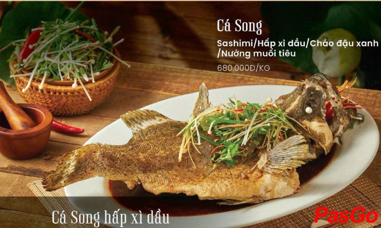 slide cánh sen vàng 4