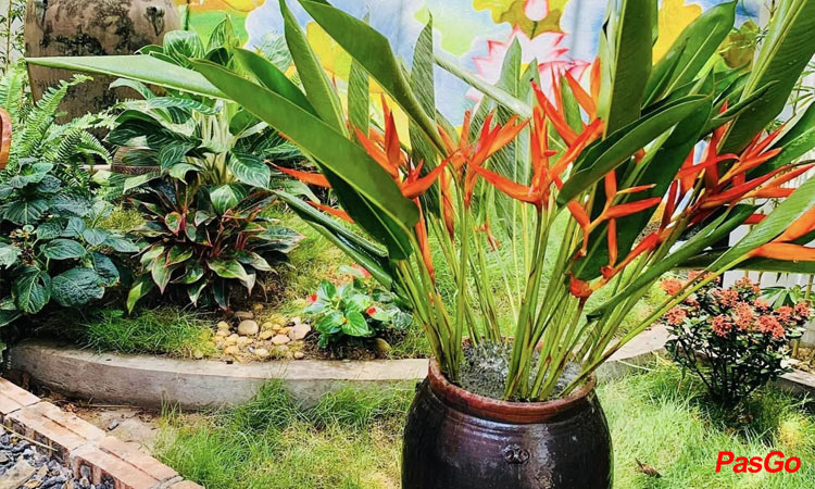 Slide chay tâm sen 12