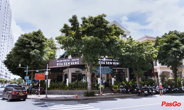 Slide Đóa Sen Vàng 10