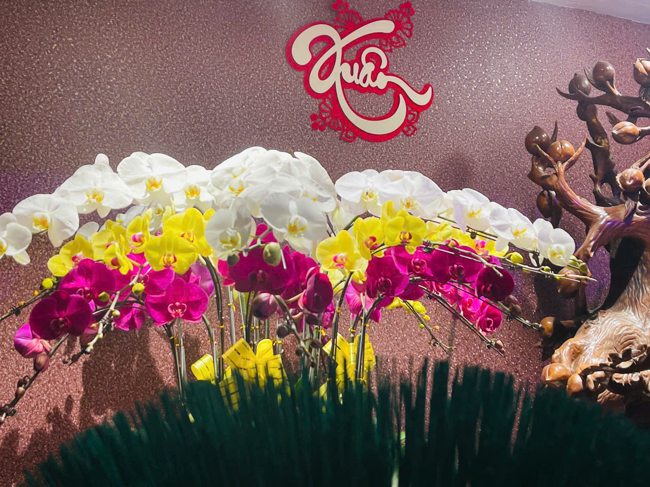 slide-kgian-NH-bienviet- (6)