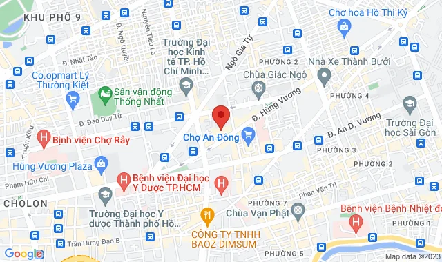 Số 100 Hùng Vương, P.  9, Q.  5