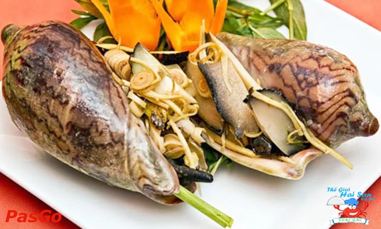 thac-bac-the-gioi-hai-san-va-ca-to-huu-slide-4