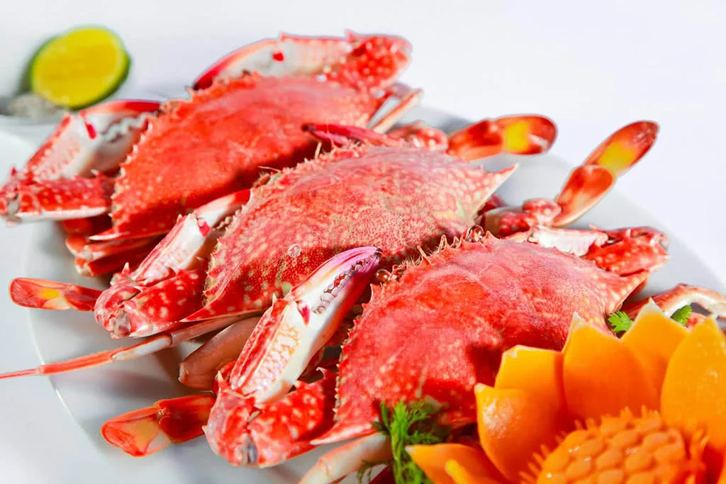 vuon-am-thuc-tre-xanh-tinh-te-trong-tung-mon-an-1