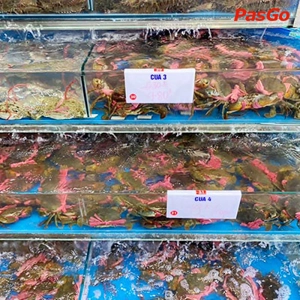 Hải Sản Quảng Ninh Đại Cồ Việt