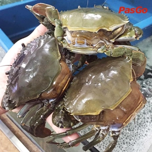 Hải Sản Vạn Chài Kim Giang 