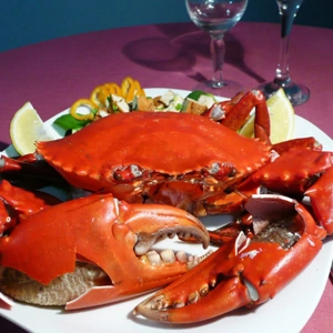 HỘI QUÁN – ẨM THỰC THƠM NGON CHO SỨC KHỎE TUYỆT VỜI