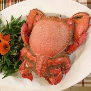 Nhà hàng Đông Dương 220 Pasteur