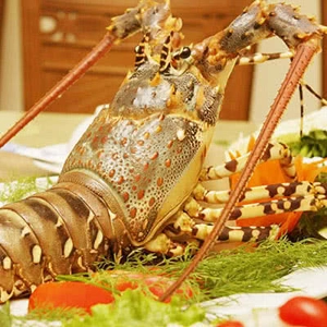 NHÀ HÀNG HẢI SẢN BIỂN ĐÔNG – TIMES CITY – THƠM NGON TRÒN VỊ BIỂN