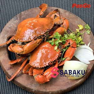 Nhà hàng Hải Sản SABAKU Võ Văn Kiệt