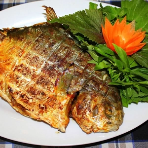 SÂN VƯỜN THUỶ MỘC - HÒA MÌNH VỚI THIÊN NHIÊN