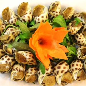 THUYỀN BUỒM – 155A KÊNH TÂN HÓA - ĐƠN GIẢN LÀ PHONG CÁCH