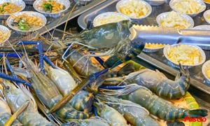 Suất Buffet Nướng T2-CN, Giá 209K - 9 Buk Hoàng Quốc Việt2