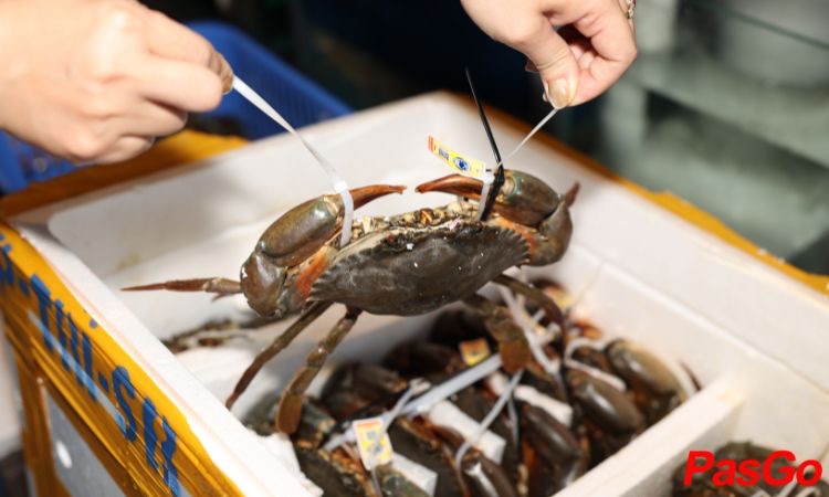 Giảm 15% Đồ Ăn Trước VAT6