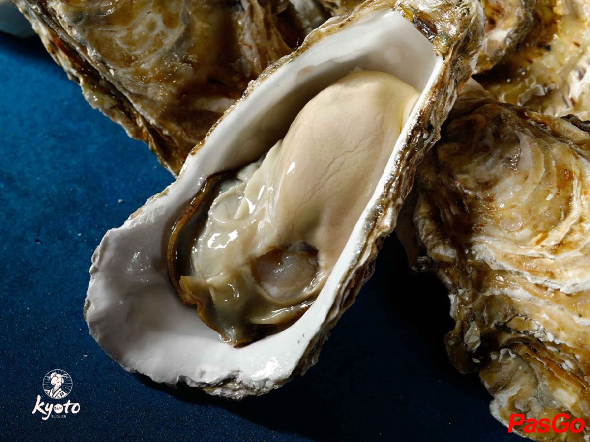 Ưu Đãi Tặng 03 Hàu Huyết Kim tươi sống - Áp dụng cho hoá đơn từ 2.000.000Đ đến 5.000.000Đ1