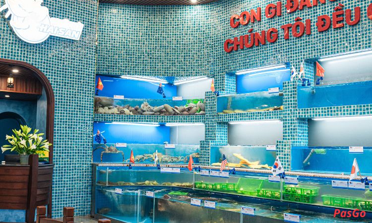 Giảm giá Cua King Crab, Tôm hùm bông, Cá Song đỏ4