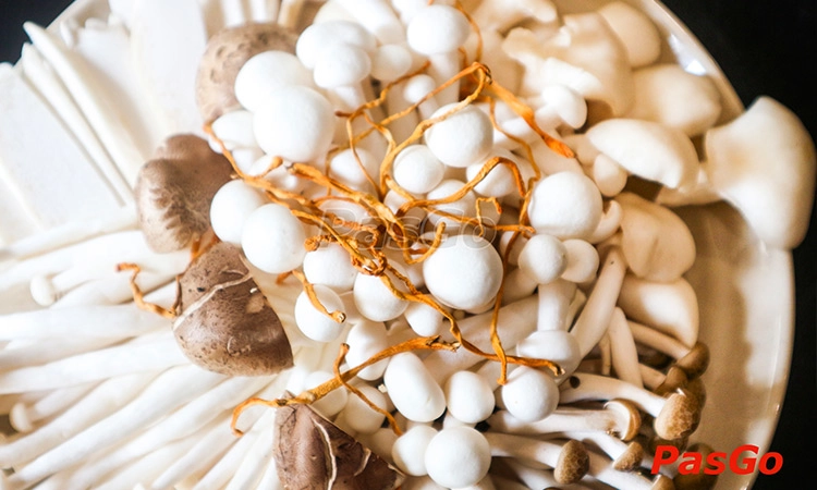 Tặng 01 Đĩa Nấm Bất Kỳ – KING MUSHROOM – HÀ ĐÔNG2