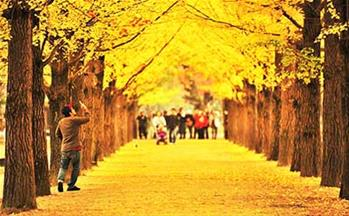 PasGo phiêu lưu ký 8 – Rất gần và rất xa!