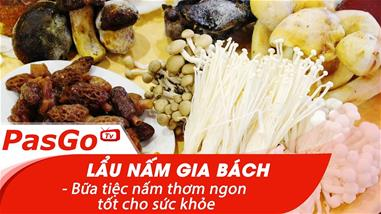 Lẩu nấm Gia Bách – Bữa tiệc nấm thơm ngon, tốt cho sức khỏe