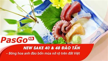 New Sake 40 & 48 Đào Tấn – Bông hoa anh đào bốn mùa nở rộ trên đất Việt