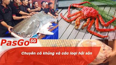 Nổi tiếng với nhiều loại cá độc – lạ – khủng nhất Sài Gòn